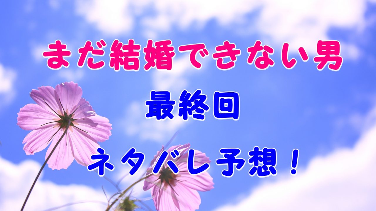 結婚 できない 男 最終 回 Article