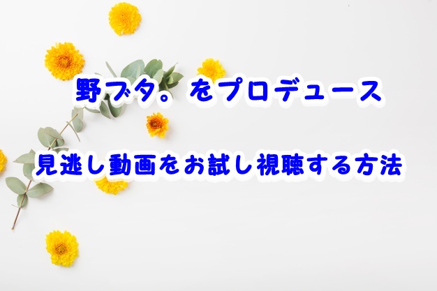 野 ブタ 坂東 役 役員一覧 Amp Petmd Com